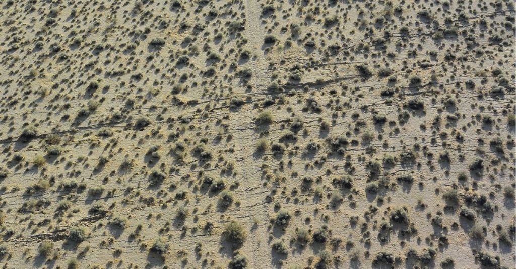 Overhead image of dirt ground