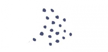 Dots Icon