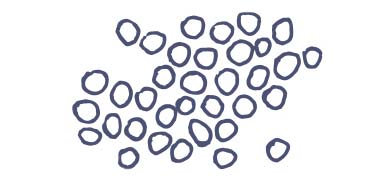 Circles Icon