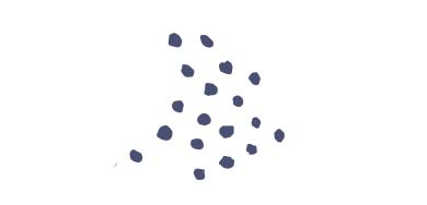 Dots Icon